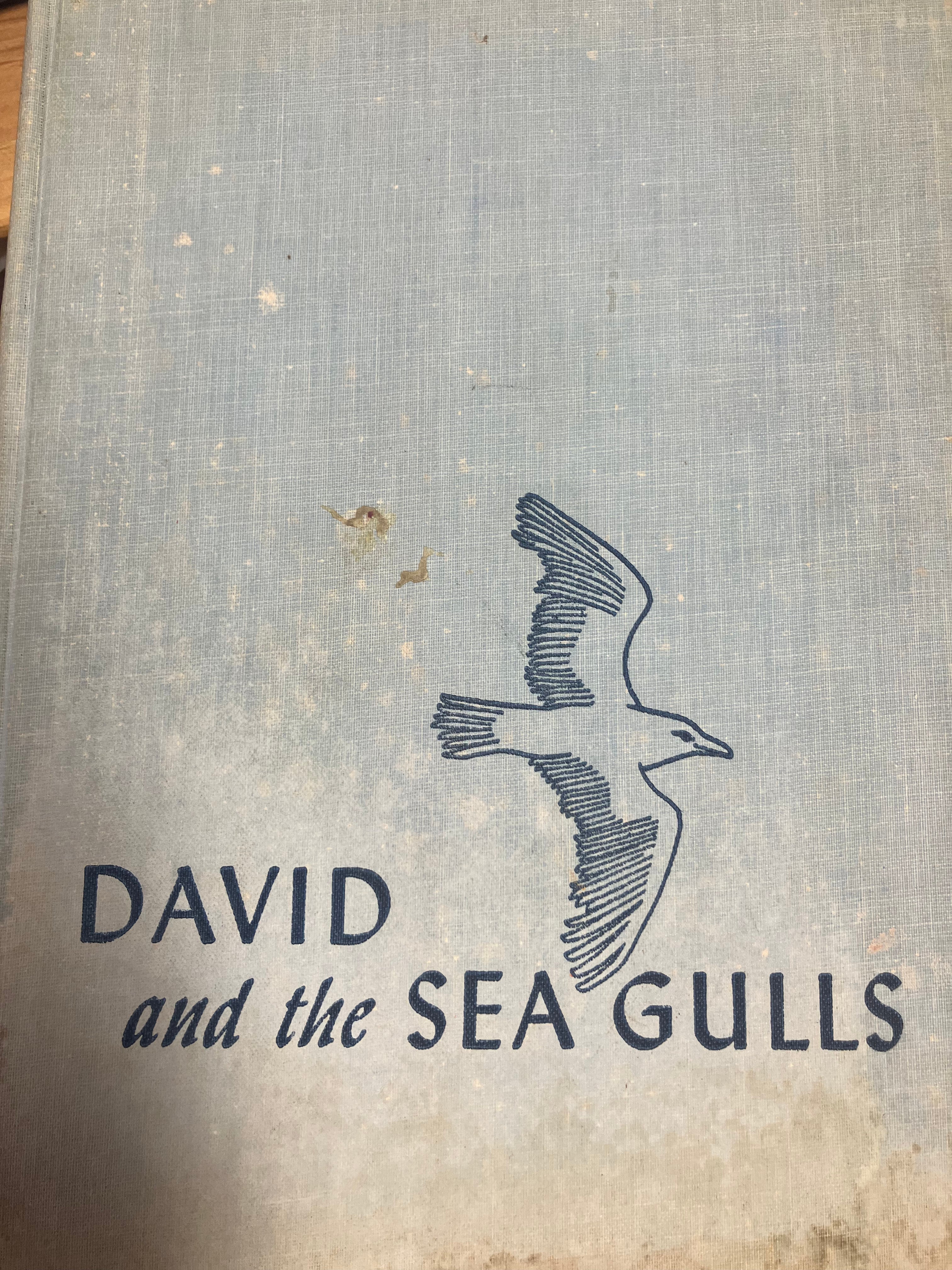 David & the Seagulls Book