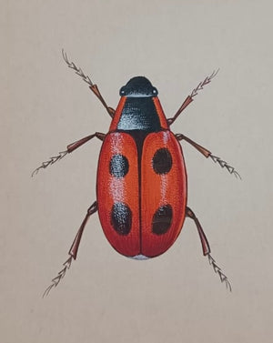 Bug painting
