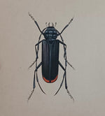 Bug painting