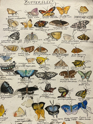 Butterfly prints