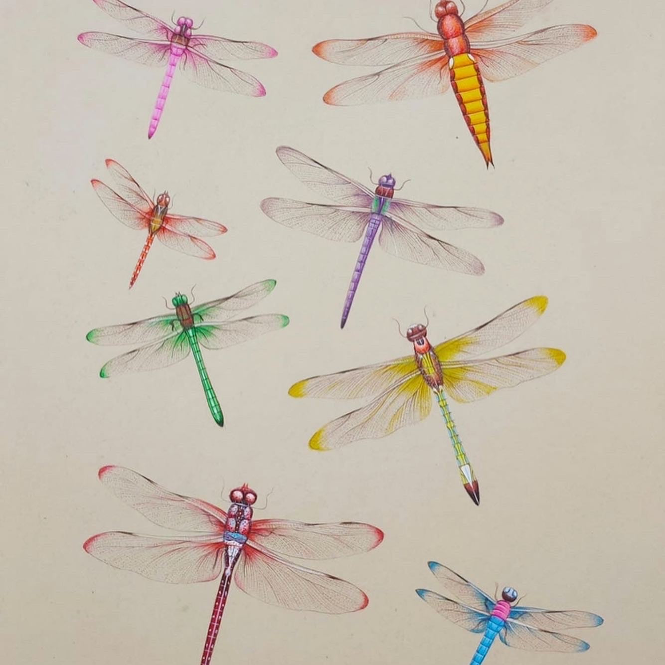 Dragonfly painting