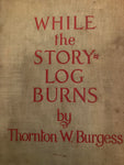 While the story log burns book