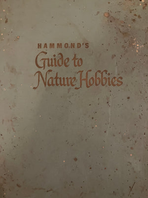 Hammonds guide to nature book