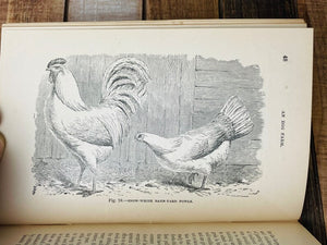 An Egg Farm Book