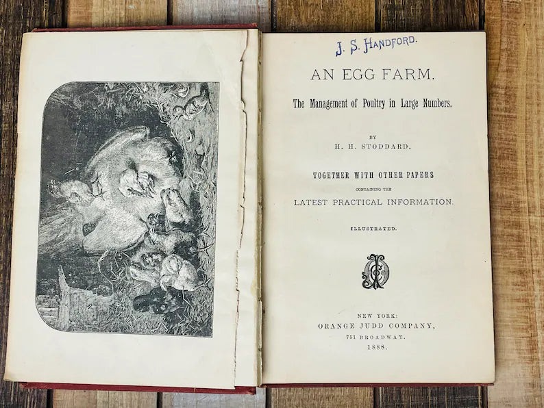 An Egg Farm Book