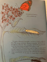 Caterpillars book