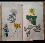 The Family Herbal Book