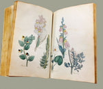 The Family Herbal Book